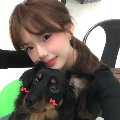 诚实房地产特别篇